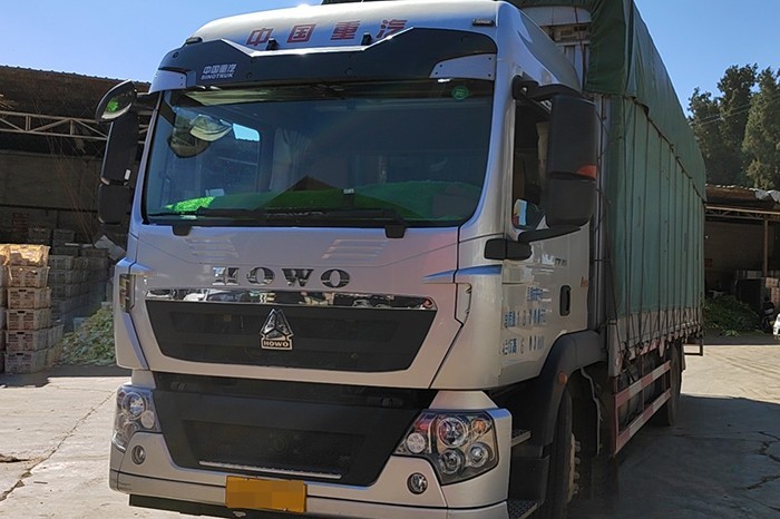 中國重汽豪沃TX載貨車